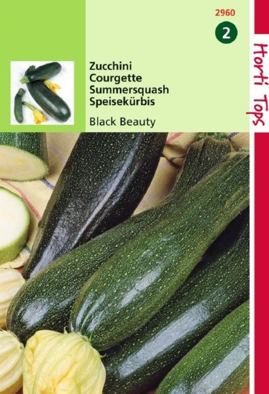 Zucchini Black Beauty (Cucurbita) 35 seeds HT